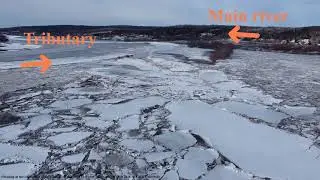 Ice jam flooding on Bras-Saint-Victor confluence with Chaudiere River, breakup 2025