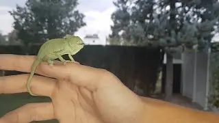 Lolo y Lili se Averg&uuml;enzan de &Eacute;ste V&iacute;deo...