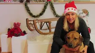 Outtakes Weihnachtsw&uuml;nsche Vitarea 2020