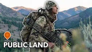 DOWN AN ARROW! ( Idaho Archery Elk Hunting )