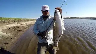PESCA DE LISAS EN EL RÍO SALADO, NOTA DE PESCA VISIÓN