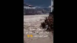 Flood Wood Collection at Madyan Swat #madyan #swat #flood