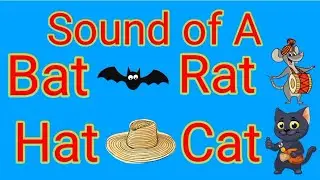 Sound of A,vowels,a,e,i,o,u,hat bat,cat,rat,mat,fat,sat,tat,map,rapcap,bag,tag,fan,van,ran,ban,can,