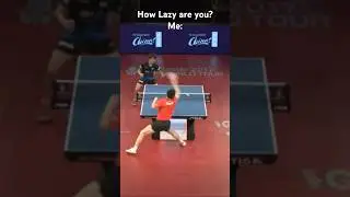 Koki Niwa best shot!!! #tabletennis #pingpong #tabletennisbestpoints #trickshots #tabletennismatch