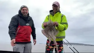 Bristol Channel Brean down Uk sea fishing few first&rsquo;s for stingray Steve 🚨