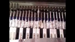 Hohner Pianet New Sticky Pads