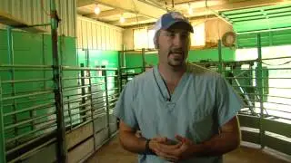 Dairy Veterinarian