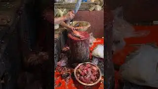 fish cutting last part#fishing #fish #fishingvideo #fish #follower #foryou #tranding #viral #usa