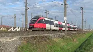 Terminal Wolfurt: Drehkreuz der Bahn f&uuml;r den G&uuml;terverkehr in Vorarlberg.