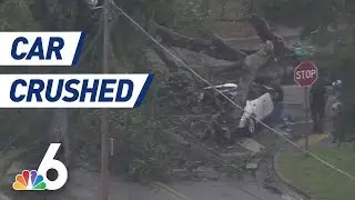 Family In Car Survives After Tree Topples, Smashes Vehicle In Allapattah