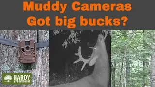 Muddy Outdoor Manifest 2 Cellular Trail Camera 16 MEGAPIXELS, AT&T & VERIZON, Stealth CAM APP 1080p