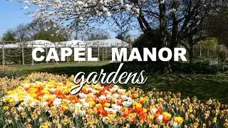 Tour of Capel Manor College gardens (Enfield, UK)