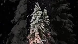 With every falling flake, a unique spark of interest falls from Heaven. #snowfall#snowflakes#winter