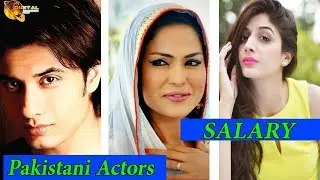 Pakistani Actors Salary In Bollywood | HD Video | DW News