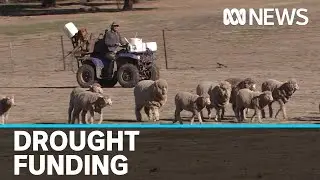 Govt releases first round of $5b fund to assist drought-affected farmers | ABC News