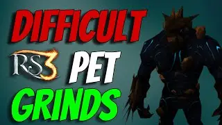 The Most Tedious Pets to Get in Runescape
