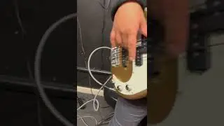 Mooer Baby Bomb 30 used as bass amp head into Peavey Bass Cab
