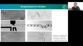 Synthetic biology meets EVs: fully-synthetic EVs for therapy & research by Oskar Staufer