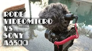 Rode VideoMicro vs Sony a6500 Stereo Mics | Compact On-Camera Microphone Review