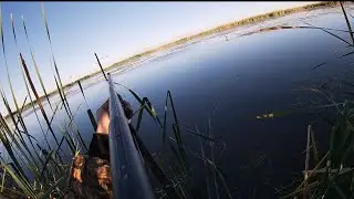 PUBLIC marsh SOLO duck hunt~ UTAH 2022