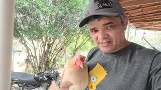 CAMINHADA E CAFÉ DA MANHÃ COM COMPANHIA 