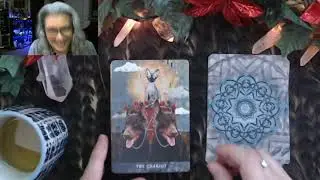 GIFT Unboxing: Grimalkin's Curious Cats Tarot
