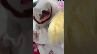 Have u seen so many Fuggs? | Fugglers