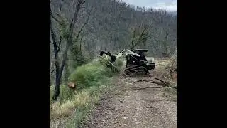 Himac Brush Root Grapple - In Action