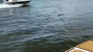 Ranger ghost 169 running