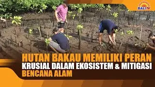 HUTAN BAKAU MEMILIKI PERAN KRUSIAL DALAM EKOSISTEM & MITIGASI BENCANA ALAM