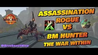 Assassination Rogue vs BM Hunter Season 2 The War Within PvP