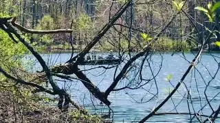 Serenity Over the Lotus Pond #ponds #boat