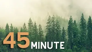 45 Minute Meditation, Morning Relaxing Music, Meditation Music, Zen, Yoga, Study Music
