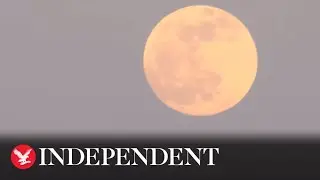 Watch again: Supermoon rises over ancient Greek temple