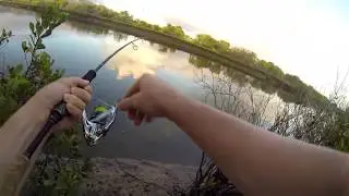 Townsville fishing - Trevally in the Ross River