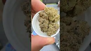Death Bubba by 4C LABS (UK Medical) #medicalcannabisuk #medicalcannabis #cannabiscommunity