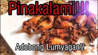 How to cook Adobong Lumyagan!