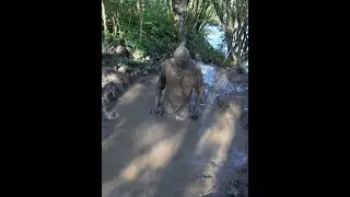 Covered in Mud