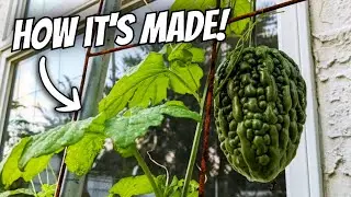 How To Build This Simple Lean-To Plant Trellis!