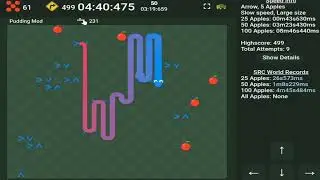 Setting Google Snake Arrow World Record in 33 Minutes and 17 Seconds (5 Apple, Large, Slow)
