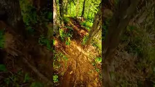 Fresh Single Track! #mtb #biking #mountainbiking
