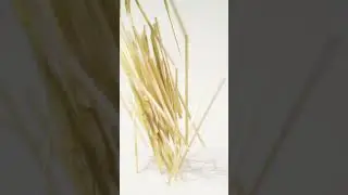 Wheat straw alternative to plastic straws!