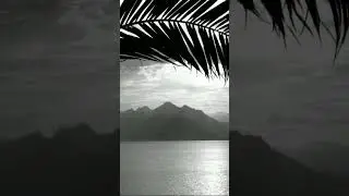 Very Popular + Sad Humming Background Nasheed with 💧Relaxing Raining Sounds💧 #nasheed