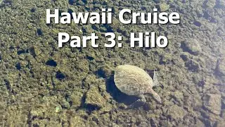 Hawaii Cruise 2026 - Ruby Princess - Part 3 - Hilo, Hawaii
