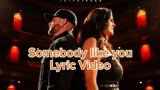 Within Temptation X Smash Into Pieces Somebody like you Lyric video