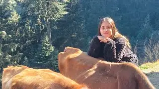 Pahado ki hawa, dil ka sukoon 🍃✨❤️ Vlog 9