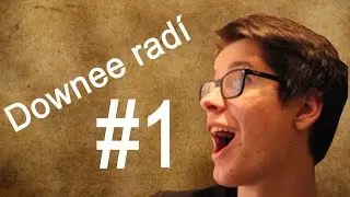 Downee rad&iacute; #1