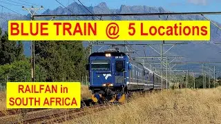 CATCHING the BLUE TRAIN = A Collaboration
