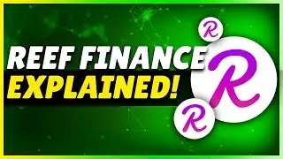 What is Reef Crypto? | Reef Finance Explained