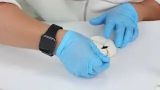 Fast & Easy Ceramic Bowl Restoration with ZDS&trade; Glue  DIY Repair Tutorial